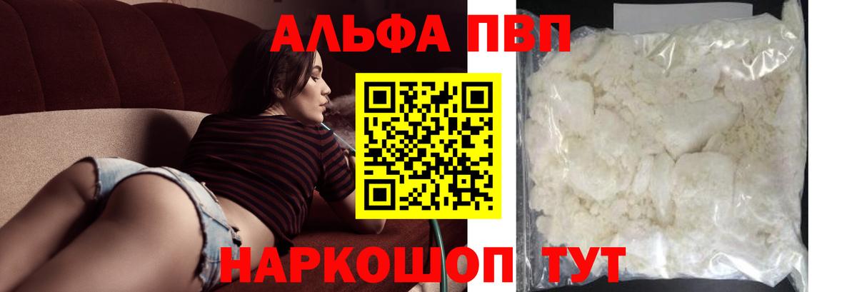 Alfa_PVP СК Кингисепп