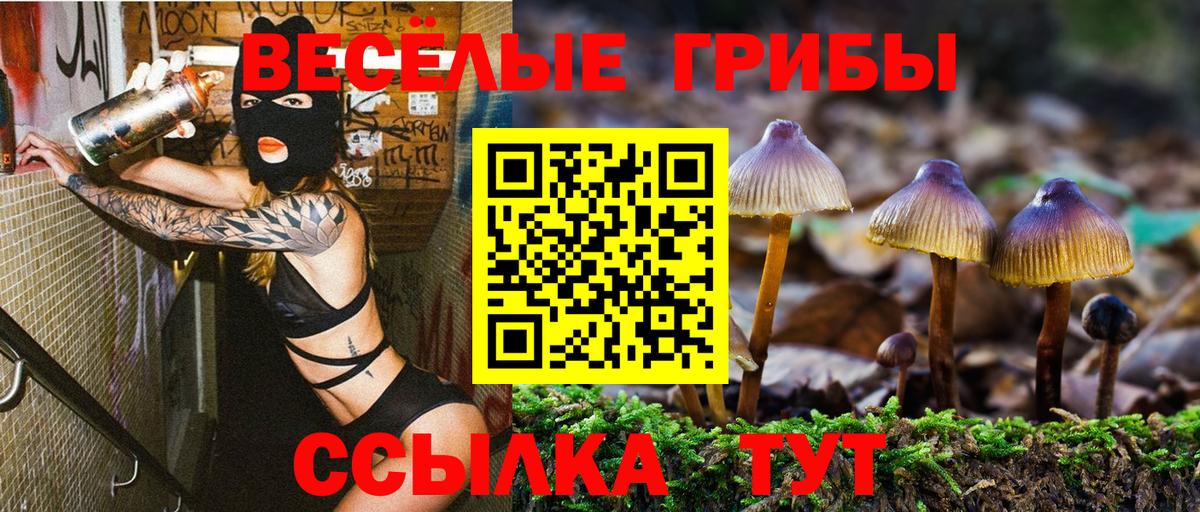 Псилоцибиновые грибы мухоморы  Вход с VPN  Кингисепп 