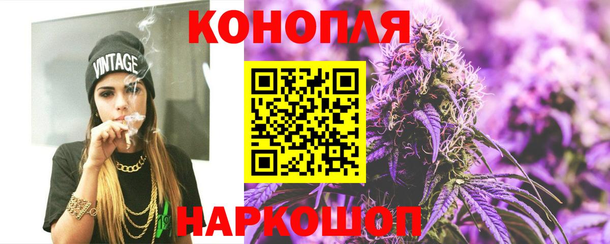 Канабис планчик Кингисепп